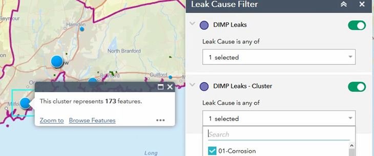 Leak Cause filters used in ArcGIS Web AppBuilder