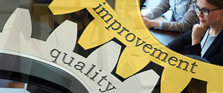 Quality and Improvement gears