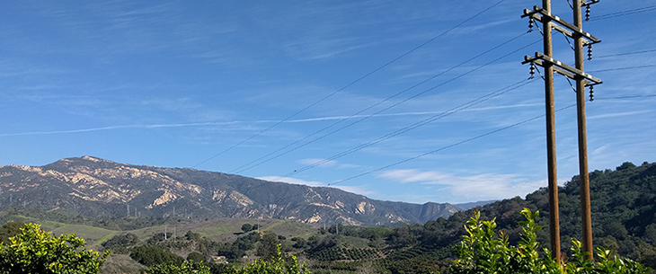 Utility Vegetation Management