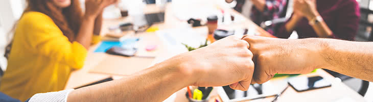 Data Assessment Program - success stories team collaboration concept with fistbump