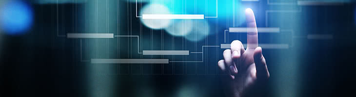 Scope of Work Project management using gantt chart