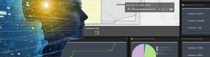 ### DyAN dashboard view with cloned person