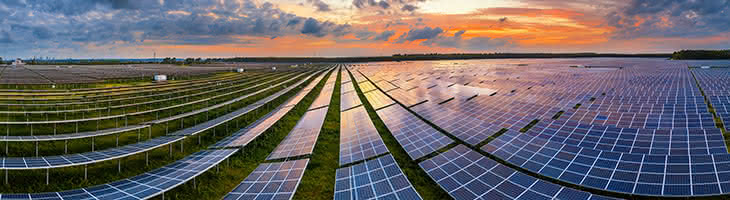 field of solar panels in sunset