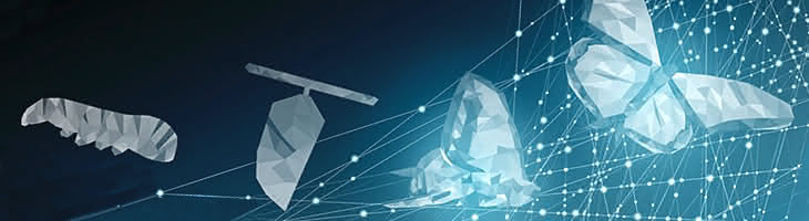 Illustration of 4 phases of butterfly transformation superimposed on a web of glowing digital lines and points