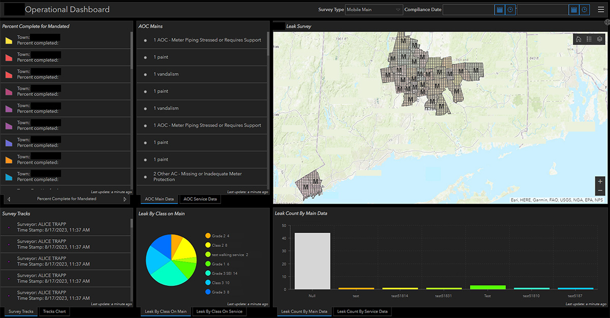 Screen capture of Sample Leak Survey Dashboard displaying test data